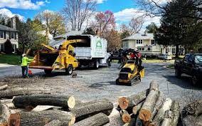 Best Emergency Tree Removal  in Lutcher, LA